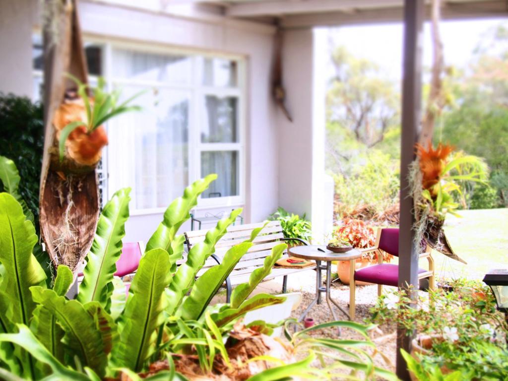 Norfolk Pines Motel Merimbula Extérieur photo