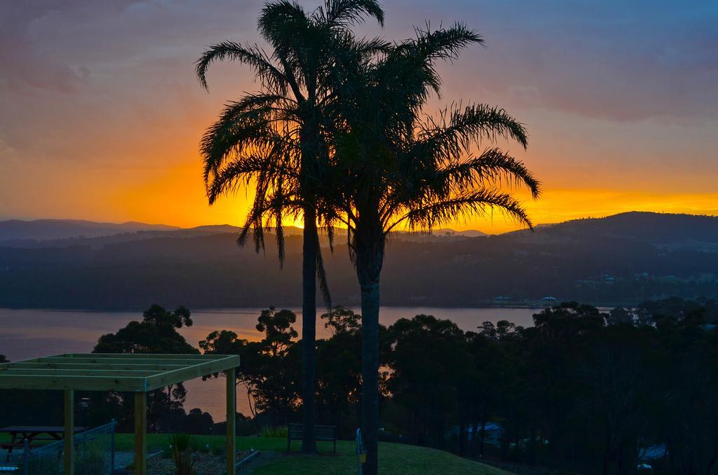 Norfolk Pines Motel Merimbula Extérieur photo